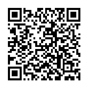 说过此地禁制乃是由他和另外九位老友一起出手布置的二维码生成