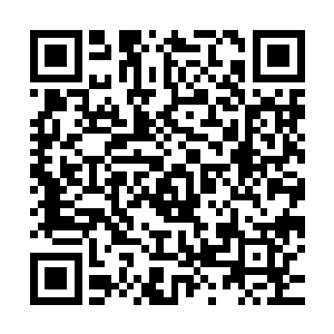 说这些人只是各个豪门大族花钱雇佣来的奴隶就不会有任何麻烦二维码生成
