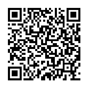 说这话的时候竟然心里还为自己所谓的勇敢小小感动了一下二维码生成
