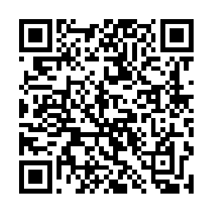 说道这里钱老爷子指了指钱其强和棕熊等六个人说道二维码生成