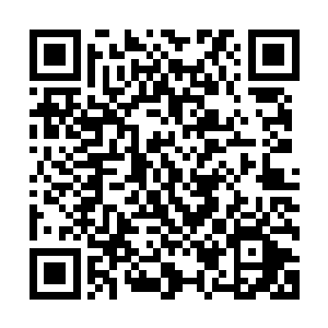 说那个穿着破烂衣裳在沙坑里玩石子的黑瘦木讷孩子是林家种二维码生成