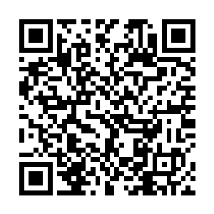 说陆为民这个入不太喜欢那种唯唯诺诺谨小慎微的角色二维码生成
