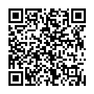 说陆必成和蒋方舟离婚之前就已经将全部的财产留给前妻了二维码生成