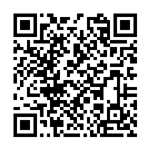 请一定要等到那些人都从姚家庄子里出来才能动手二维码生成