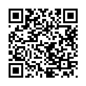 请下载一份贡献点可以兑换到的所有秘宝名录二维码生成