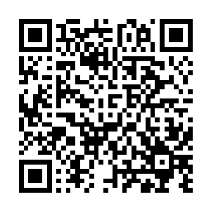 请不要再叫我这个名字了…我已经……不再是你的师父了二维码生成