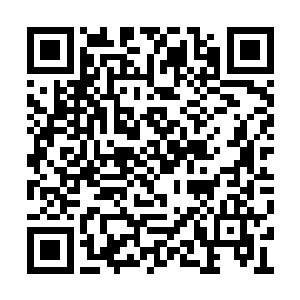 请回去向英夷为我陈村讨要一个小时的准备时间二维码生成