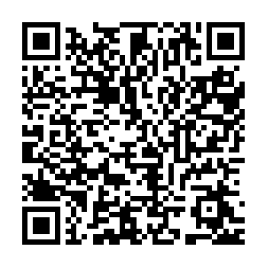 请大家静心欣赏我西门为大家带来的这一局钻1分段的第一视角直播二维码生成