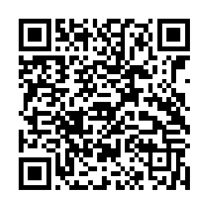 请恕俺们不能护送你回归高梁河了…………俺们杀回去二维码生成