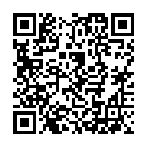 请江老爷子和那些早上先到的部分贵客先到饭厅用饭二维码生成