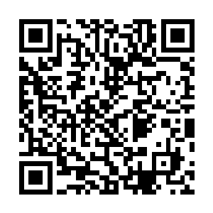 请玄鸦道人专门炼制了几种可以改变地形环境的聚灵法阵二维码生成