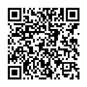请琴帝和一指没两个地榜高手灭了杨风那是铁板钉钉的事情二维码生成