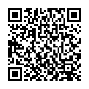 请秦渭先生不要在除起诉等必要法律场合之外的其它任何场合二维码生成