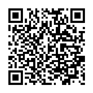 请自动忽略辣椒本身的阅历环境的局限性和偏见二维码生成