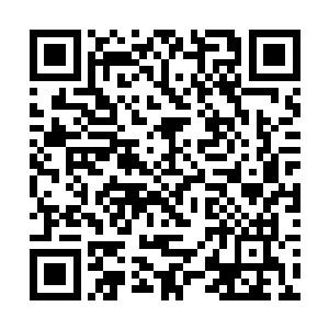 请英雄看在我家有八十岁老母要照料的份上饶了我吧二维码生成