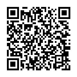请诸位把你们的投票器举起来对准那面收集骨屏二维码生成