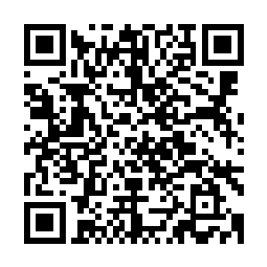 请重重惩治老臣以儆天下…………这几年老臣不曾与闻朝中事二维码生成