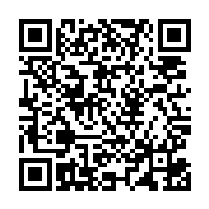 请问整个符神界所有地方难道都在三大势力的控制之中吗二维码生成