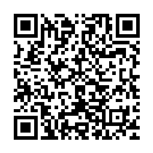 请问瑞典媒体报道的你和嘉宝公主食住一屋寸步不离是真实的吗二维码生成