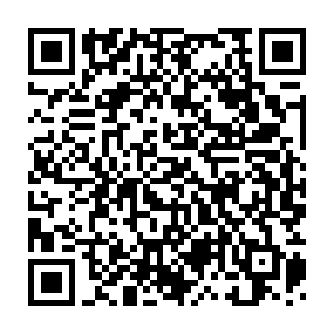 诸位长老道友们应都从各自宗派弟子那里得到了具体详细的汇报吧二维码生成