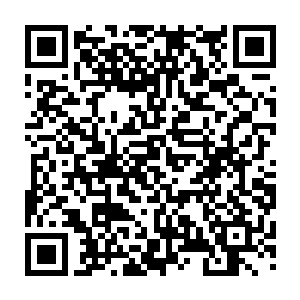 诸多来自东域的强者们并没有因为这些强大的能量涟漪而有着丝毫的停歇二维码生成