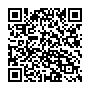 诸多的派系对于主任也是有那么一些咬牙切齿的二维码生成