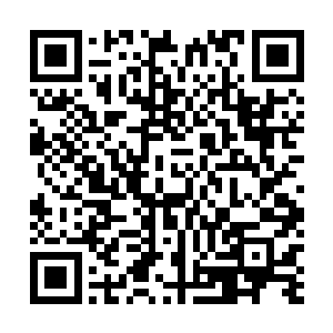 诸天百界因为火焰族的事件而一个个改变了对人族的策略二维码生成