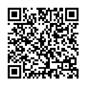 诸如此类的对话不断地在无尽海域星罗棋布的岛屿中传出二维码生成