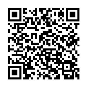 诸如金乌炙焰之类的高等火焰我根本就无法衍生二维码生成