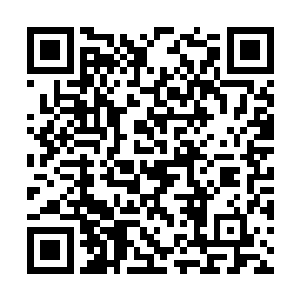 诸葛一杀只看到灰色简单的长袍内一个纤细的背影二维码生成