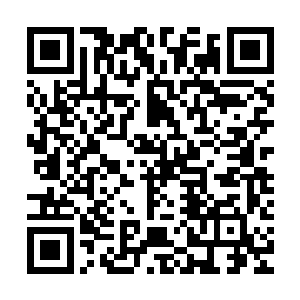 诸葛机特意把执事院大堂里的几个服侍的记名弟子全都赶了出去二维码生成