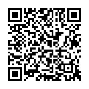 诸葛正纯体内的的撼天魔猿就产生了神秘的共鸣二维码生成