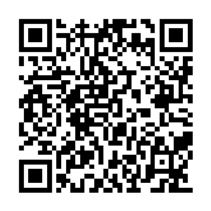 诸葛红叶将一个专用手电筒递到了孙子轩的面前二维码生成