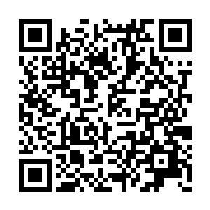 诸葛青云倒先教起了姐姐……世界还真够玄妙的二维码生成