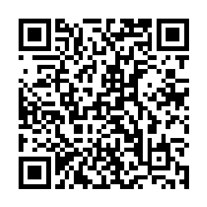 诺亚这一脚还没有踹到苏凡的时候就会被苏凡抓住脚腕二维码生成