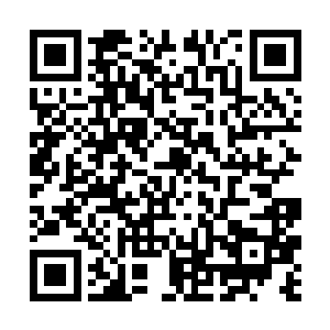 诺温夫人借着丈夫丧命的机会提条件拿到了赌场执照二维码生成