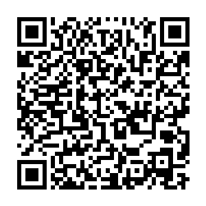 读取盘古族和女娲族强行灌输到我脑子里的每一条自相矛盾的命令二维码生成