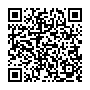 读者对这种不可理喻超出正常范畴的事情也是最感兴趣的二维码生成