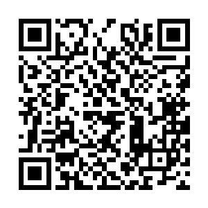 谁不想坐收渔利所以天南很快会成为受灾者和炮灰二维码生成