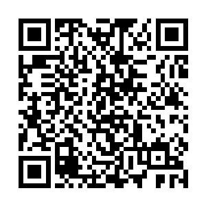 谁不知道这望峰岭是我们师兄弟几人平日的修炼场所二维码生成