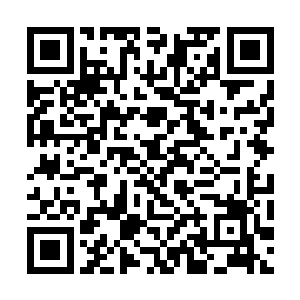 谁也不相信吴虎臣一个小小的s级能够将叶华给击败二维码生成