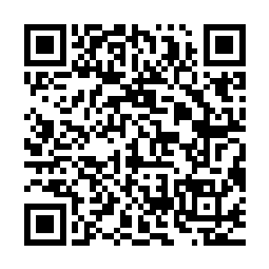谁也不知道下一次遇到冰灵的时候他们还会不会有机会捕捉冰灵二维码生成