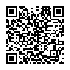 谁也不知道它们到底是如何在这种恶劣的环境下生存下来的二维码生成