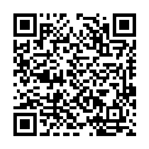 谁也不知道死神联盟还会不会再派杀手来刺杀黛米二维码生成