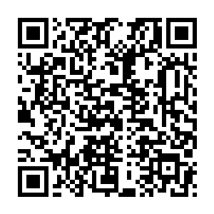 谁也不知道狼蛛的团长雷默是上哪儿找来这么一个四阶的女巫师的二维码生成