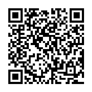 谁也不知道超级门派里面到底会有什么样的老怪物存在二维码生成