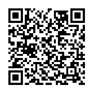 谁也不知道魔星藤什么时候会把他和睚眦兽吞噬了二维码生成