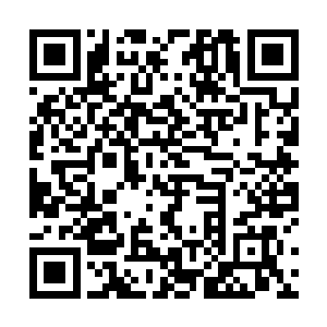 谁也无法想象它们若是安然无恙的话能发挥多大的威力二维码生成