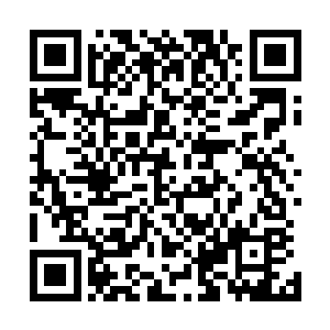 谁也没想到一个仗着傀儡攻击自身乱跑的家伙还有这么一手二维码生成