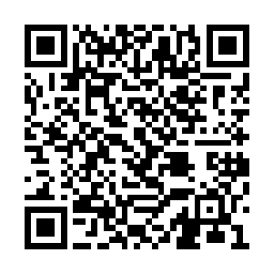谁也没想到这青年身边竟然会有渡劫期修士跟着二维码生成
